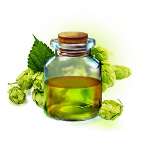 Экстракт Хмеля масляный  