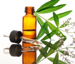 Эфирное масло Вербены